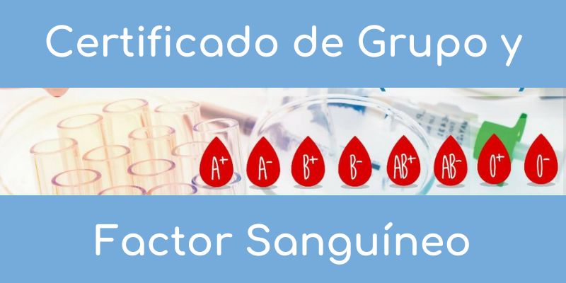 Certificado de Grupo y Factor Sanguíneo